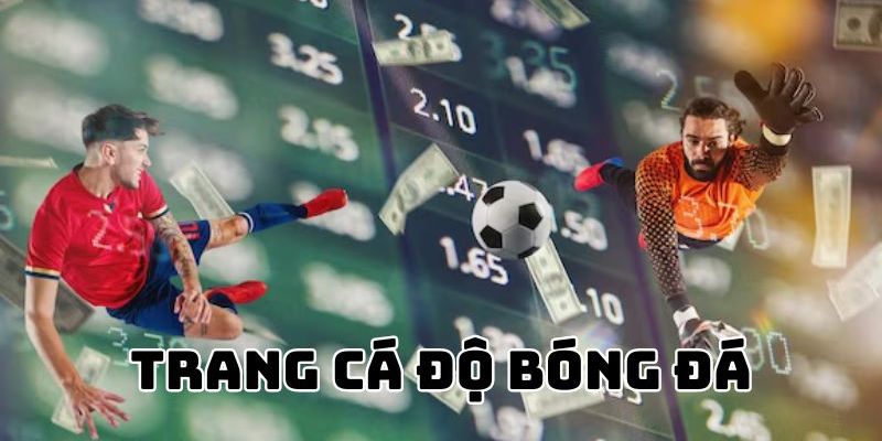 Chọn đúng trang cá độ bóng đá uy tín
